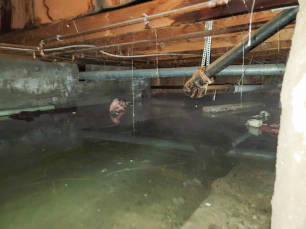 Fire Damage Restoration in Union Springs, AL