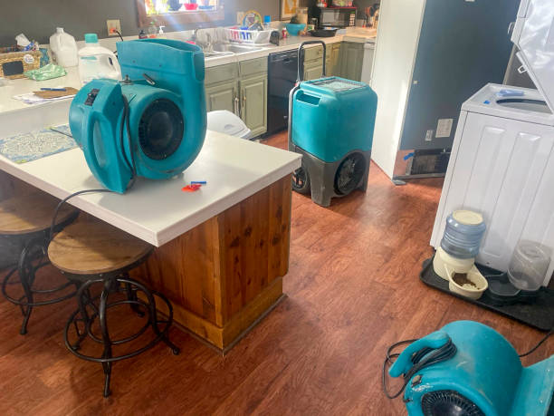 Best Water damage repair service  in Union Springs, AL
