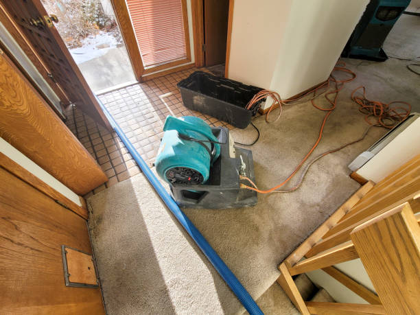 Best Local water damage restoration  in Union Springs, AL