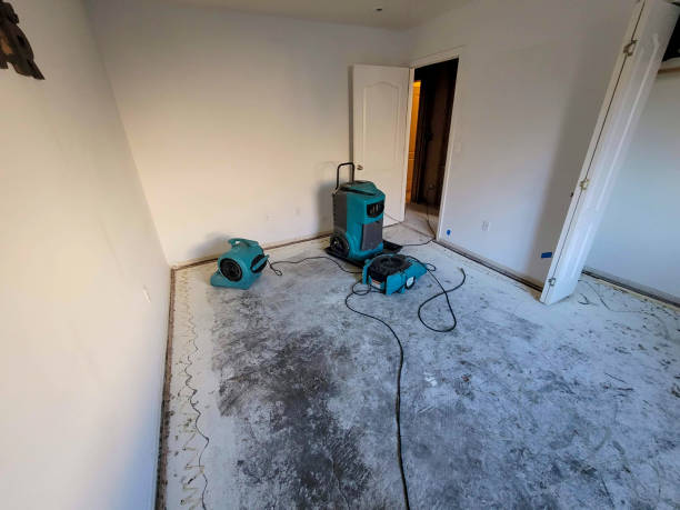 Best Flood damage cleanup  in Union Springs, AL