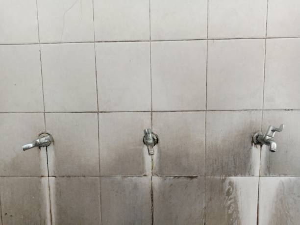 Best Water damage cleanup near me  in Union Springs, AL