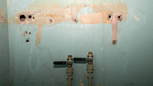Best Flooded house restoration  in Union Springs, AL