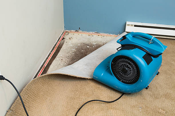 Best Emergency water damage restoration  in Union Springs, AL